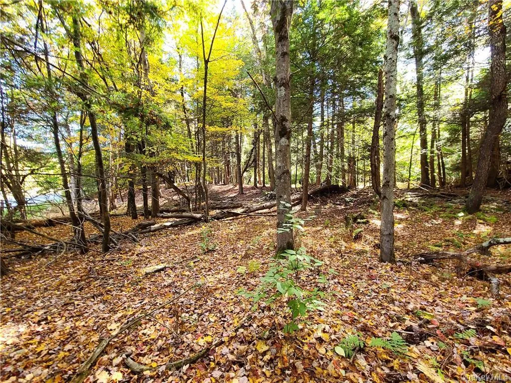 Lot 5.4 Kaufman Road, Thompson, NY, ,Land,For Rent,Kaufman,0,1012362 Lot 5.4 Kaufman Road, Thompson, NY, ,Land,For Rent,Kaufman,0,1012362