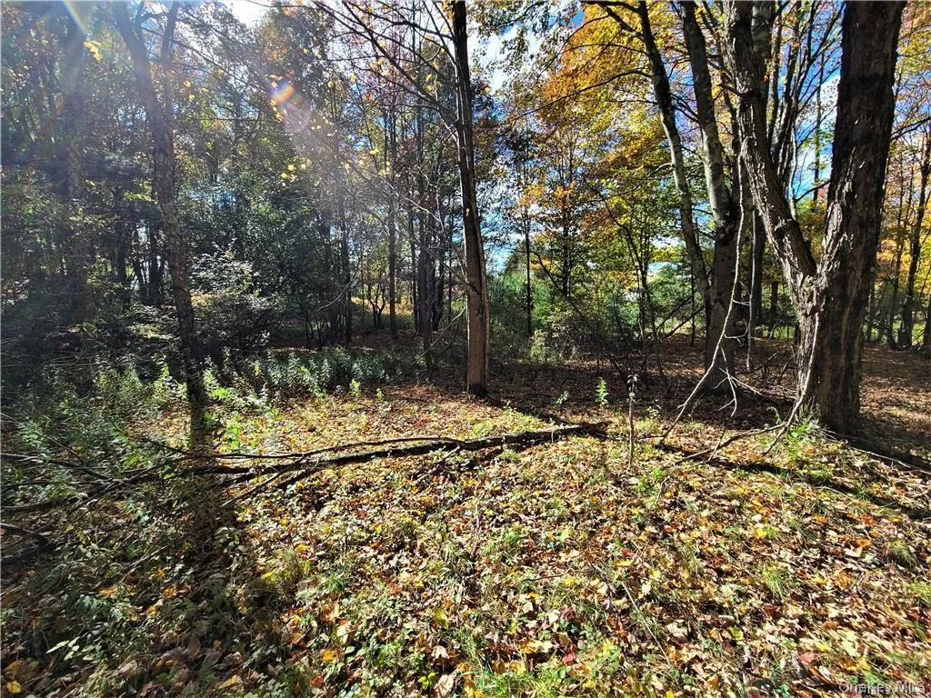 Lot 5.4 Kaufman Road, Thompson, NY, ,Land,For Rent,Kaufman,0,1012362 Lot 5.4 Kaufman Road, Thompson, NY, ,Land,For Rent,Kaufman,0,1012362