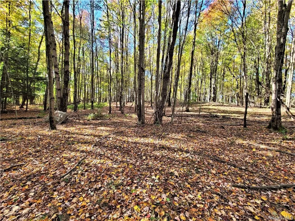 Lot 5.4 Kaufman Road, Thompson, NY, ,Land,For Rent,Kaufman,0,1012362 Lot 5.4 Kaufman Road, Thompson, NY, ,Land,For Rent,Kaufman,0,1012362
