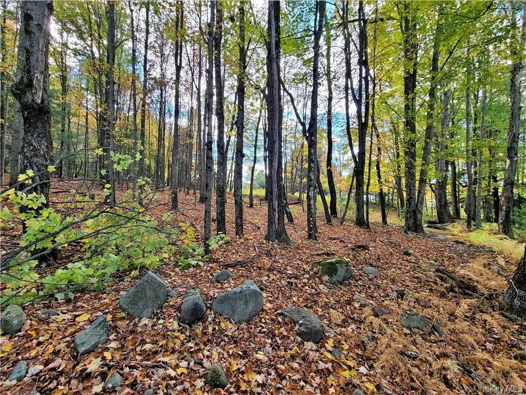 Lot 5.4 Kaufman Road, Thompson, NY, ,Land,For Rent,Kaufman,0,1012362 Lot 5.4 Kaufman Road, Thompson, NY, ,Land,For Rent,Kaufman,0,1012362