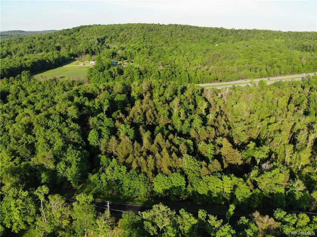Lot 5.4 Kaufman Road, Thompson, NY, ,Land,For Rent,Kaufman,0,1012362 Lot 5.4 Kaufman Road, Thompson, NY, ,Land,For Rent,Kaufman,0,1012362
