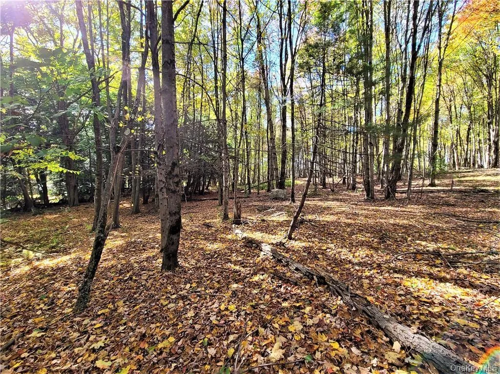 Lot 5.4 Kaufman Road, Thompson, NY, ,Land,For Rent,Kaufman,0,1012362 Lot 5.4 Kaufman Road, Thompson, NY, ,Land,For Rent,Kaufman,0,1012362