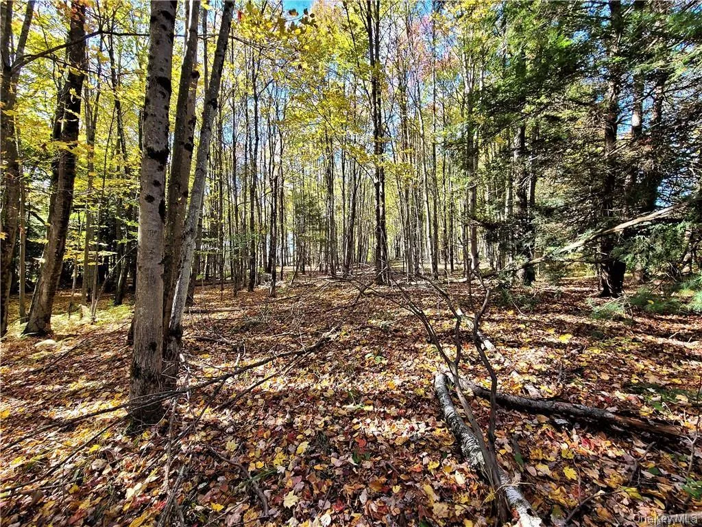 Lot 5.4 Kaufman Road, Thompson, NY, ,Land,For Rent,Kaufman,0,1012362 Lot 5.4 Kaufman Road, Thompson, NY, ,Land,For Rent,Kaufman,0,1012362