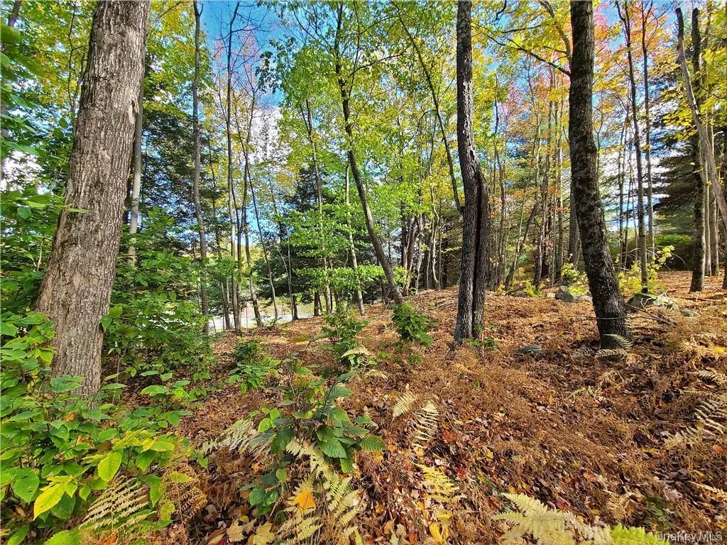 Lot 5.4 Kaufman Road, Thompson, NY, ,Land,For Rent,Kaufman,0,1012362 Lot 5.4 Kaufman Road, Thompson, NY, ,Land,For Rent,Kaufman,0,1012362