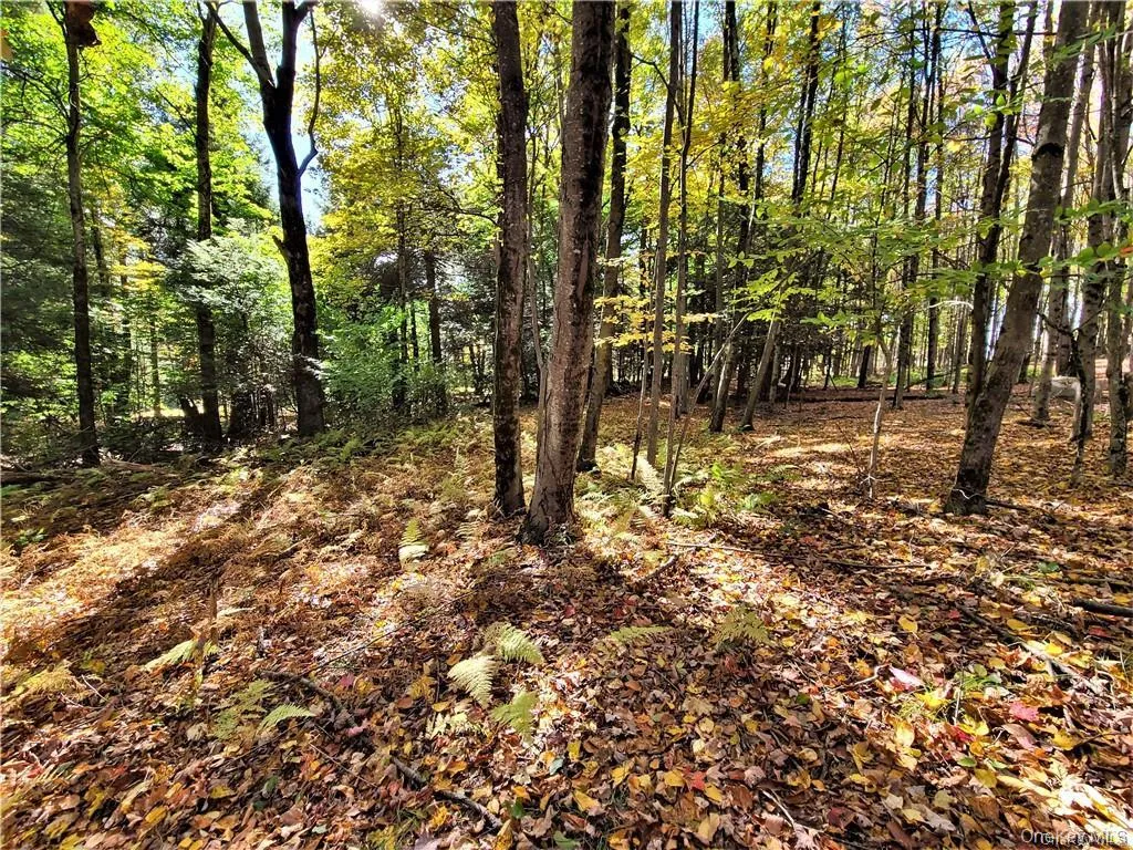 Lot 5.4 Kaufman Road, Thompson, NY, ,Land,For Rent,Kaufman,0,1012362 Lot 5.4 Kaufman Road, Thompson, NY, ,Land,For Rent,Kaufman,0,1012362