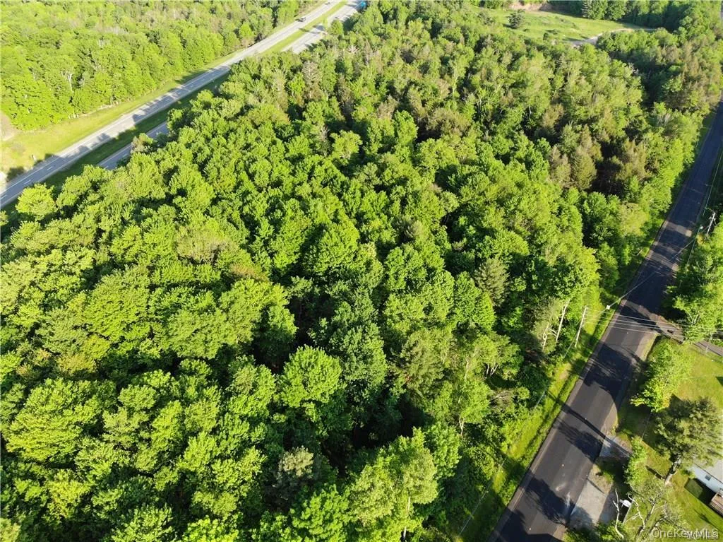 Lot 5.4 Kaufman Road, Thompson, NY, ,Land,For Rent,Kaufman,0,1012362 Lot 5.4 Kaufman Road, Thompson, NY, ,Land,For Rent,Kaufman,0,1012362