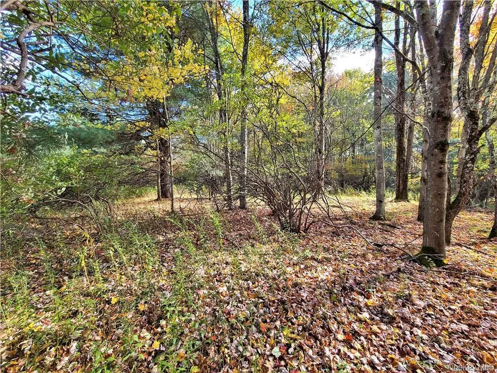 Lot 5.4 Kaufman Road, Thompson, NY, ,Land,For Rent,Kaufman,0,1012362 Lot 5.4 Kaufman Road, Thompson, NY, ,Land,For Rent,Kaufman,0,1012362