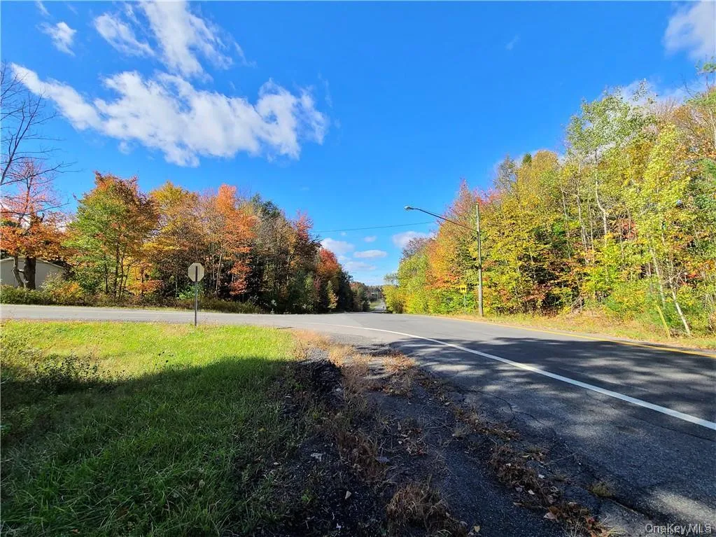 Lot 5.4 Kaufman Road, Thompson, NY, ,Land,For Rent,Kaufman,0,1012362 Lot 5.4 Kaufman Road, Thompson, NY, ,Land,For Rent,Kaufman,0,1012362