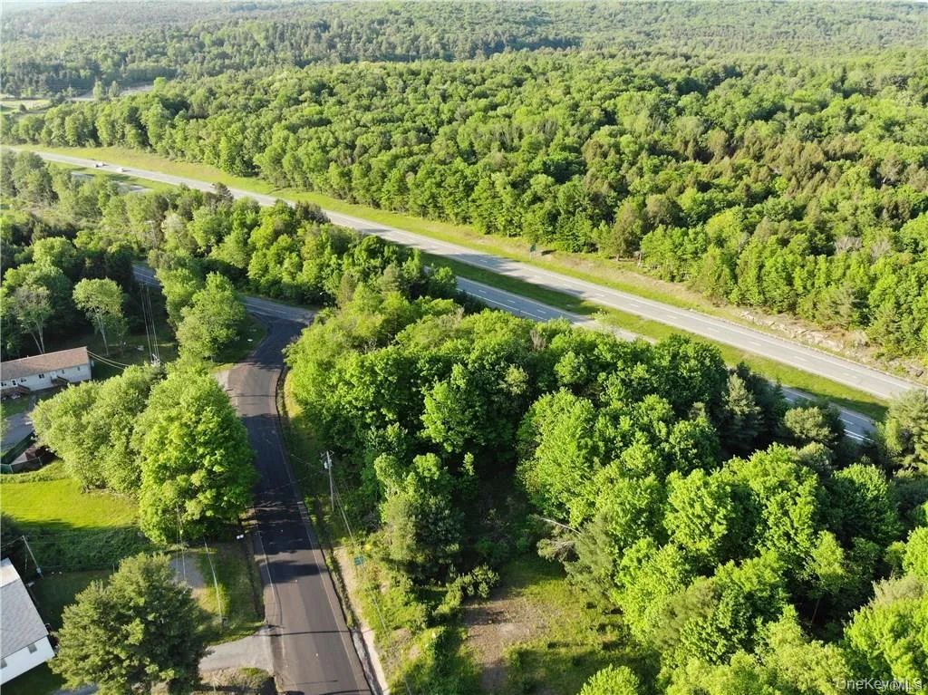 Lot 5.4 Kaufman Road, Thompson, NY, ,Land,For Rent,Kaufman,0,1012362 Lot 5.4 Kaufman Road, Thompson, NY, ,Land,For Rent,Kaufman,0,1012362