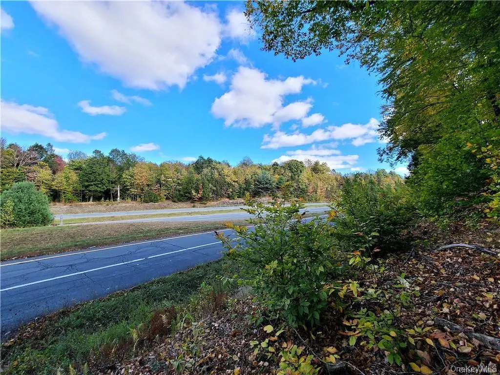 Lot 5.4 Kaufman Road, Thompson, NY, ,Land,For Rent,Kaufman,0,1012362 Lot 5.4 Kaufman Road, Thompson, NY, ,Land,For Rent,Kaufman,0,1012362