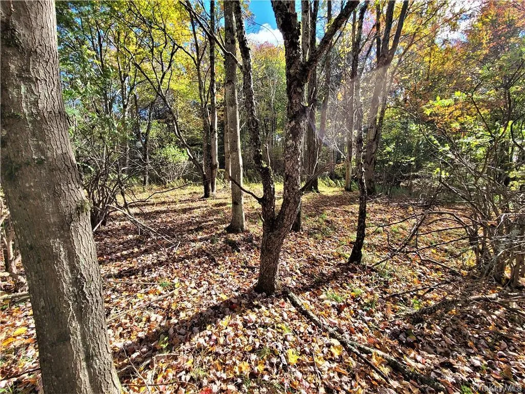 Lot 5.4 Kaufman Road, Thompson, NY, ,Land,For Rent,Kaufman,0,1012362 Lot 5.4 Kaufman Road, Thompson, NY, ,Land,For Rent,Kaufman,0,1012362