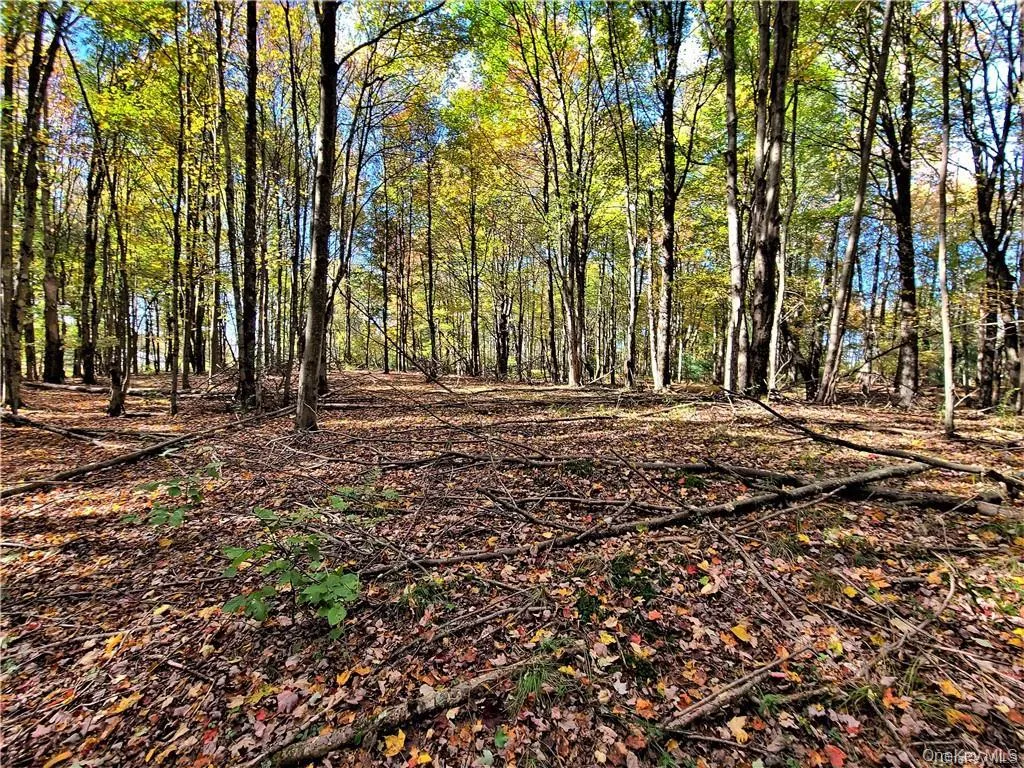 Lot 5.4 Kaufman Road, Thompson, NY, ,Land,For Rent,Kaufman,0,1012362 Lot 5.4 Kaufman Road, Thompson, NY, ,Land,For Rent,Kaufman,0,1012362