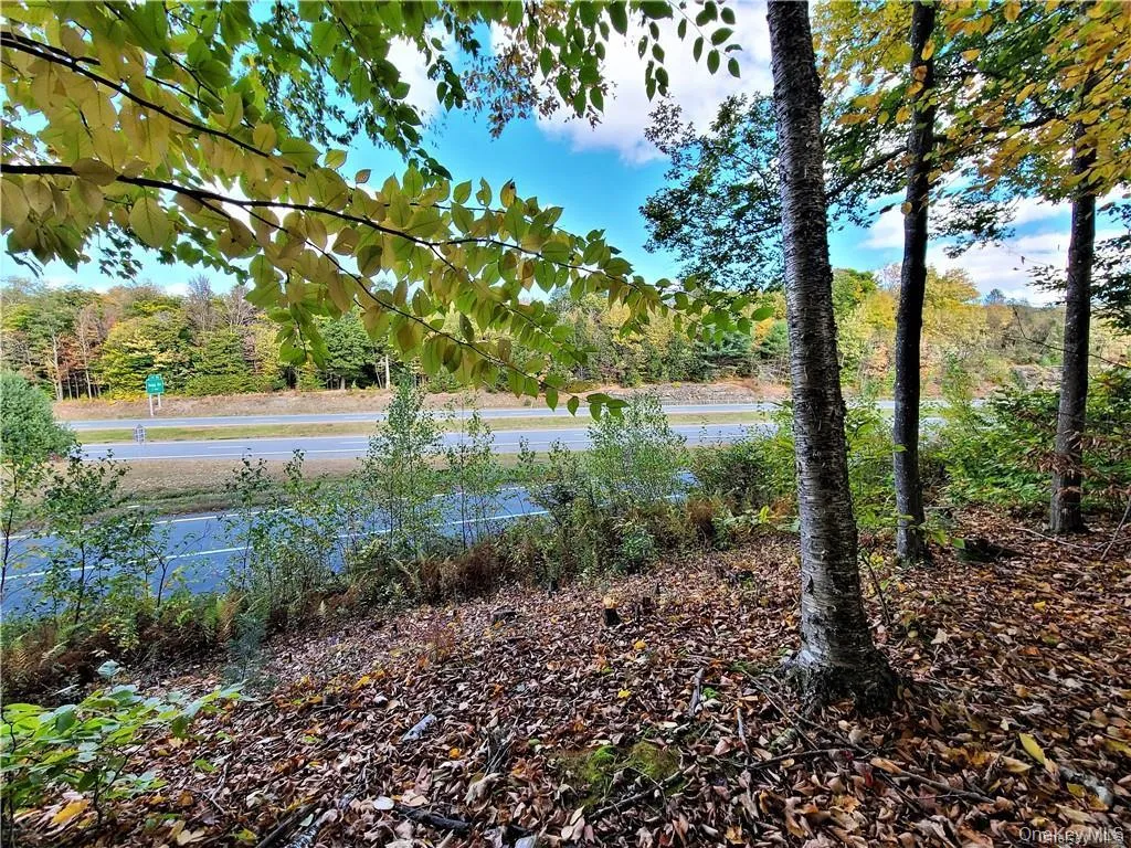 Lot 5.4 Kaufman Road, Thompson, NY, ,Land,For Rent,Kaufman,0,1012362 Lot 5.4 Kaufman Road, Thompson, NY, ,Land,For Rent,Kaufman,0,1012362