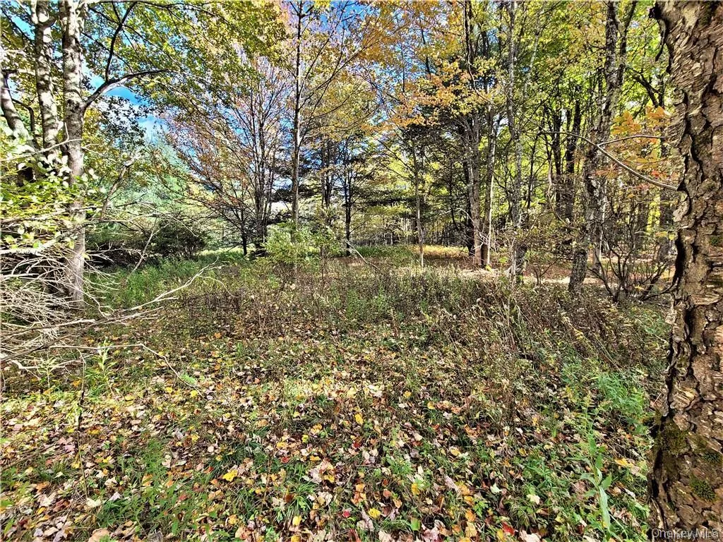 Lot 5.4 Kaufman Road, Thompson, NY, ,Land,For Rent,Kaufman,0,1012362 Lot 5.4 Kaufman Road, Thompson, NY, ,Land,For Rent,Kaufman,0,1012362