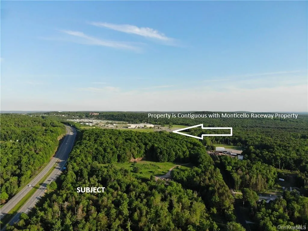 Lot 5.4 Kaufman Road, Thompson, NY, ,Land,For Rent,Kaufman,0,1012362 Lot 5.4 Kaufman Road, Thompson, NY, ,Land,For Rent,Kaufman,0,1012362