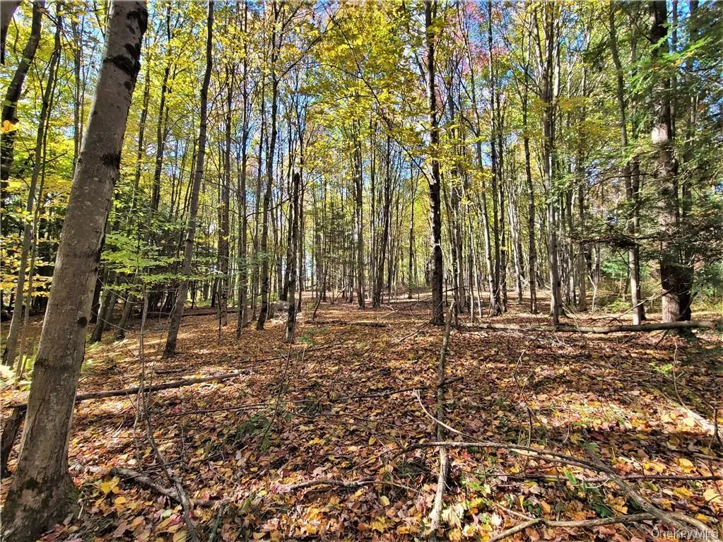 Lot 5.4 Kaufman Road, Thompson, NY, ,Land,For Rent,Kaufman,0,1012362 Lot 5.4 Kaufman Road, Thompson, NY, ,Land,For Rent,Kaufman,0,1012362