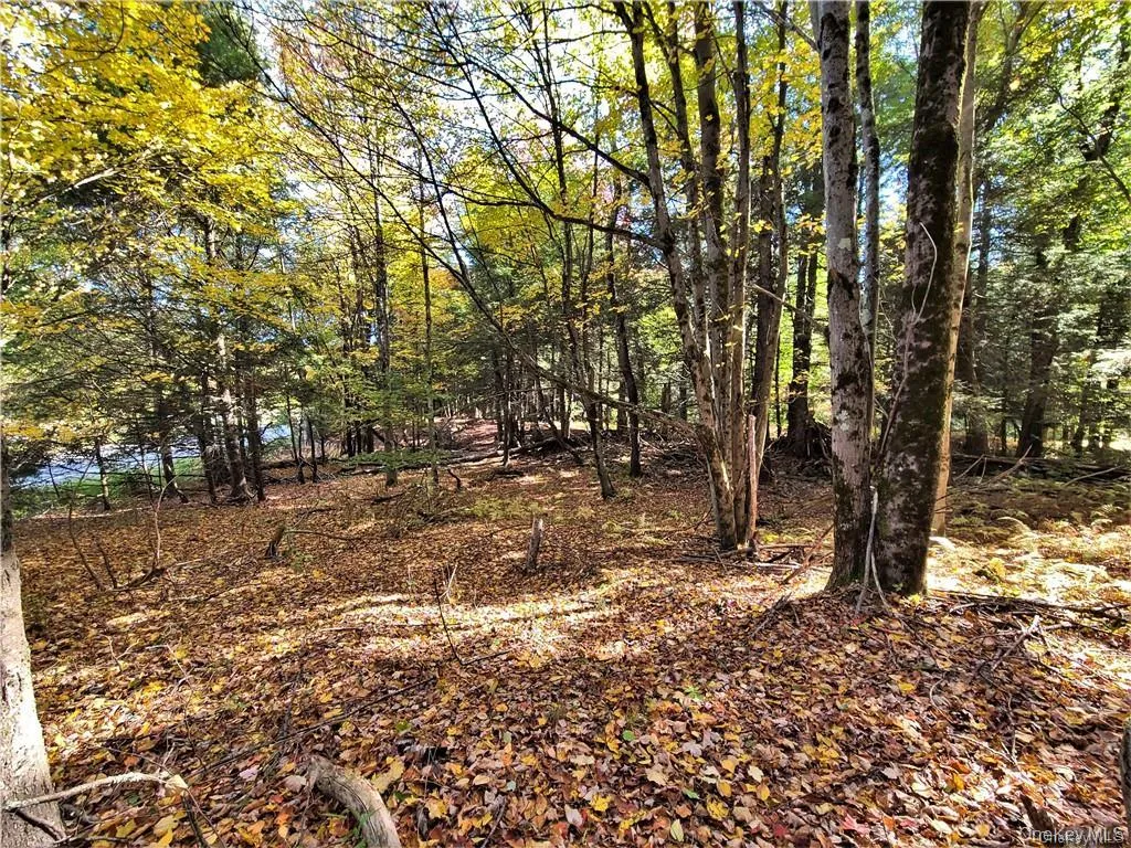 Lot 5.4 Kaufman Road, Thompson, NY, ,Land,For Rent,Kaufman,0,1012362 Lot 5.4 Kaufman Road, Thompson, NY, ,Land,For Rent,Kaufman,0,1012362