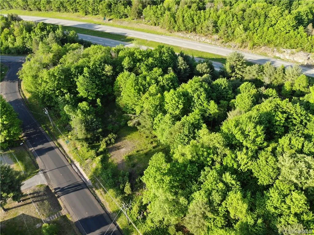 Lot 5.4 Kaufman Road, Thompson, NY, ,Land,For Rent,Kaufman,0,1012362 Lot 5.4 Kaufman Road, Thompson, NY, ,Land,For Rent,Kaufman,0,1012362