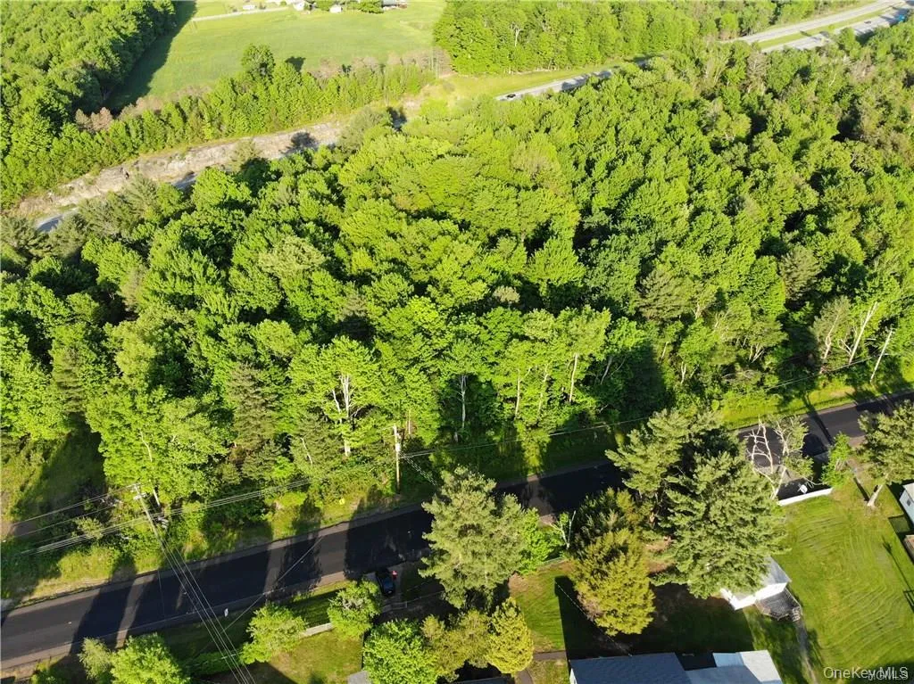 Lot 5.4 Kaufman Road, Thompson, NY, ,Land,For Rent,Kaufman,0,1012362 Lot 5.4 Kaufman Road, Thompson, NY, ,Land,For Rent,Kaufman,0,1012362