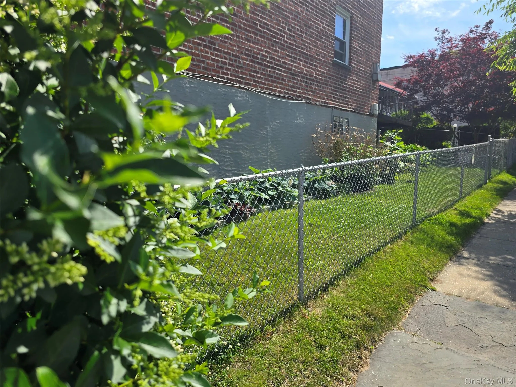 And your side yard... And your side yard...