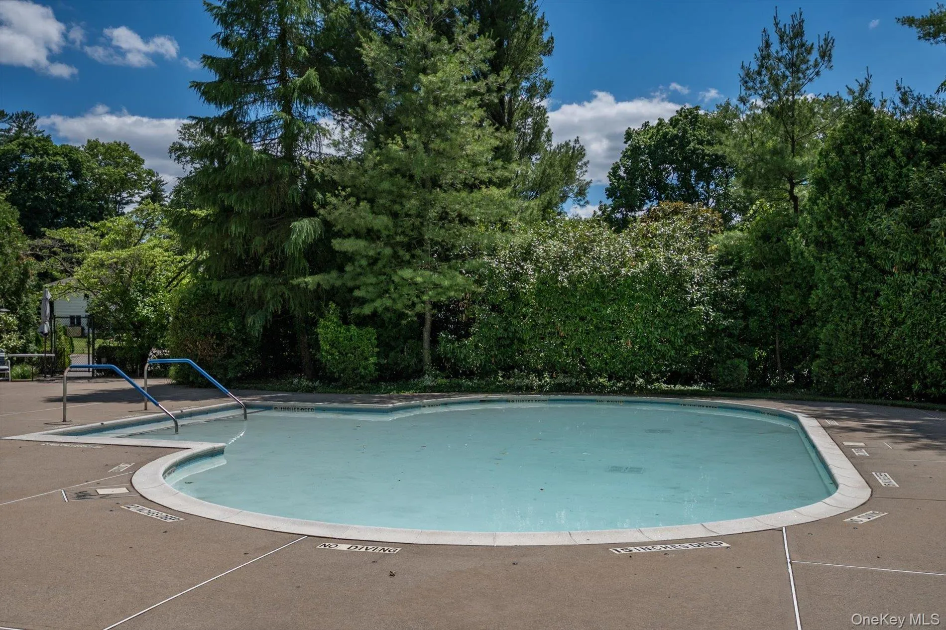 8 Verity Lane, North Hempstead, NY, 5 Bedrooms Bedrooms, 9 Rooms Rooms,4 BathroomsBathrooms,Residential,For Rent,Verity,0,1012402 8 Verity Lane, North Hempstead, NY, 5 Bedrooms Bedrooms, 9 Rooms Rooms,4 BathroomsBathrooms,Residential,For Rent,Verity,0,1012402