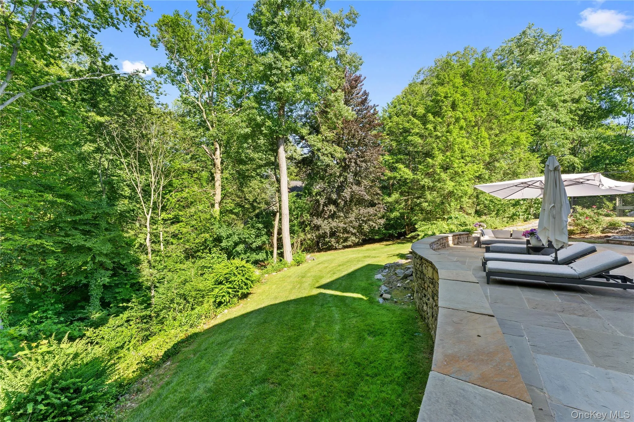 Private, lush backyard Private, lush backyard