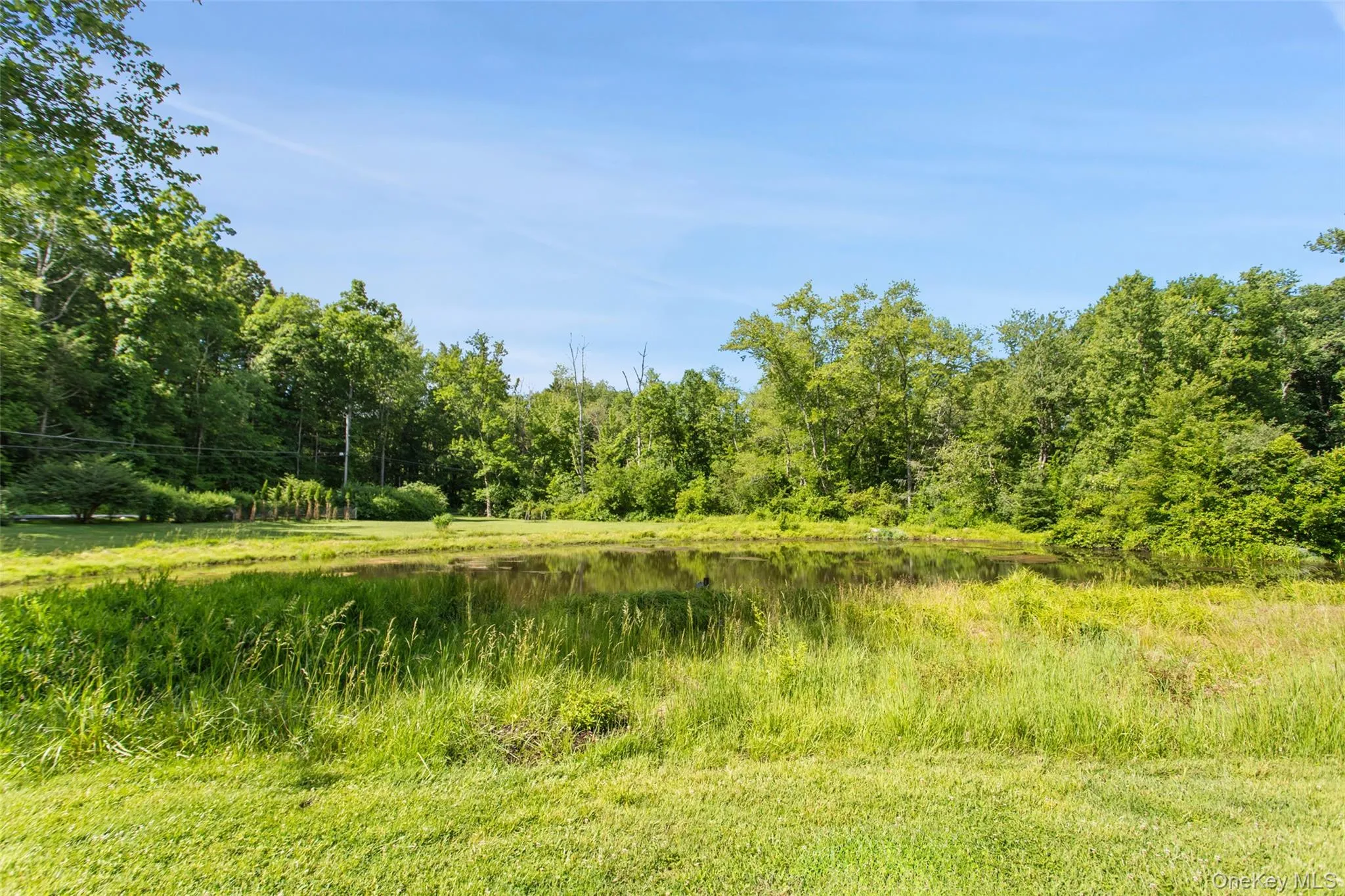 355 Pine Brook Road, Pound Ridge, NY, 3 Bedrooms Bedrooms, 12 Rooms Rooms,2 BathroomsBathrooms,Residential,For Rent,Pine Brook,0,1012437 355 Pine Brook Road, Pound Ridge, NY, 3 Bedrooms Bedrooms, 12 Rooms Rooms,2 BathroomsBathrooms,Residential,For Rent,Pine Brook,0,1012437