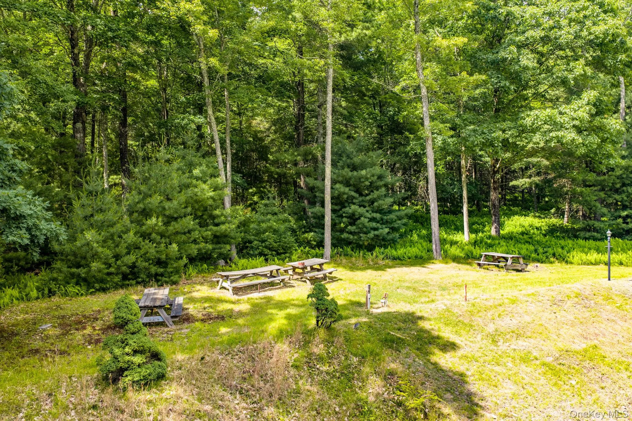 17 Collins Road, Highland, NY, 9 Rooms Rooms,1 BathroomBathrooms,Residential,For Rent,Collins,0,1012464 17 Collins Road, Highland, NY, 9 Rooms Rooms,1 BathroomBathrooms,Residential,For Rent,Collins,0,1012464