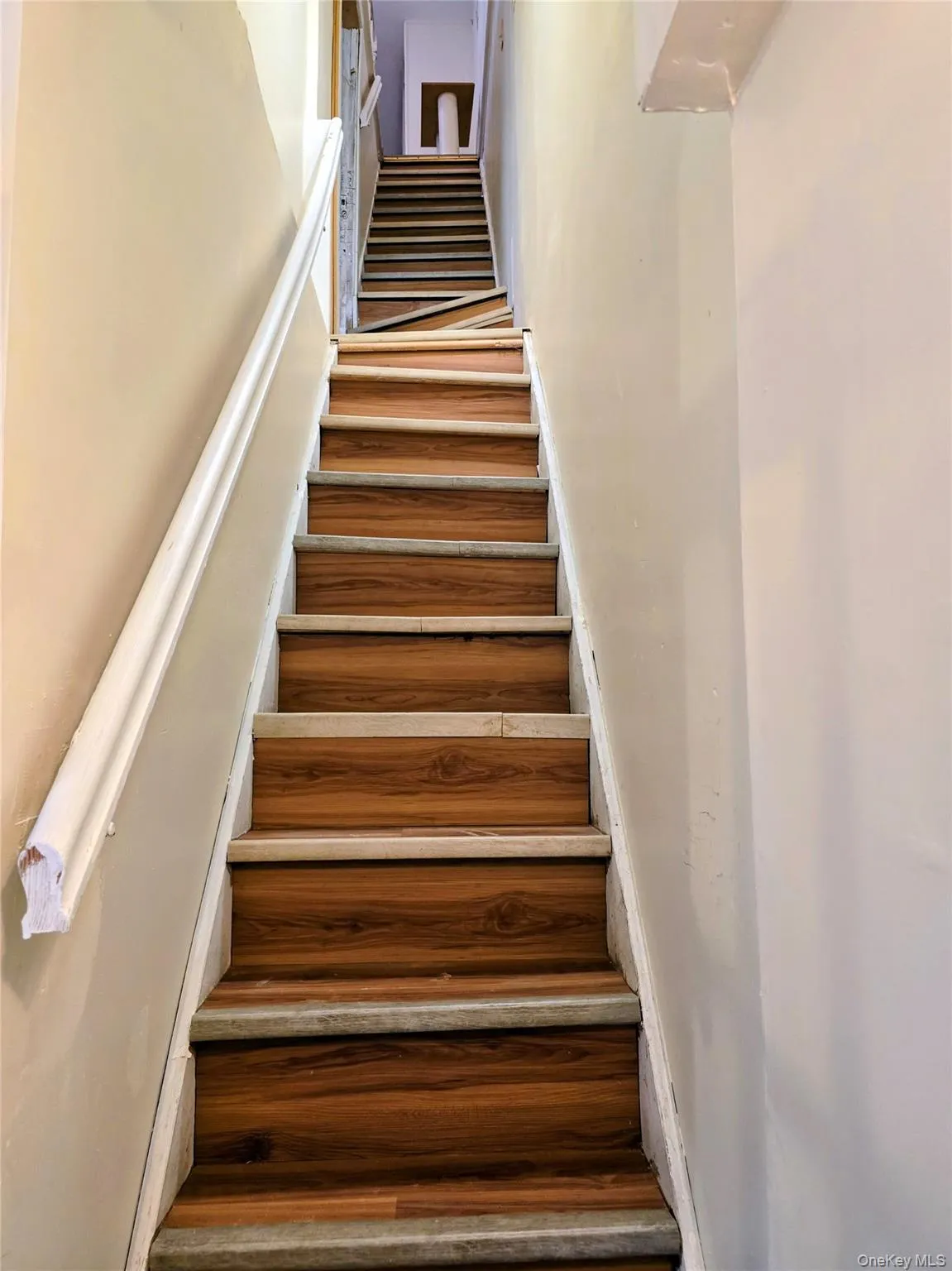 889 37th Street, New York, NY, 3 Bedrooms Bedrooms, 8 Rooms Rooms,2 BathroomsBathrooms,Residential,For Rent,37th,0,1012523 889 37th Street, New York, NY, 3 Bedrooms Bedrooms, 8 Rooms Rooms,2 BathroomsBathrooms,Residential,For Rent,37th,0,1012523