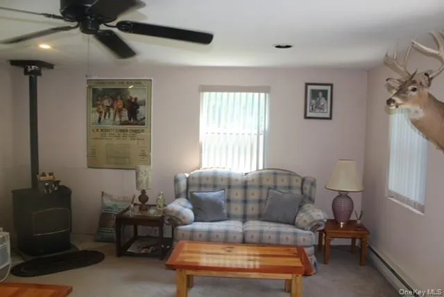553 Friedenstein Road, Fremont, NY, 3 Bedrooms Bedrooms, 8 Rooms Rooms,1 BathroomBathrooms,Residential,For Rent,Friedenstein,0,1012527 553 Friedenstein Road, Fremont, NY, 3 Bedrooms Bedrooms, 8 Rooms Rooms,1 BathroomBathrooms,Residential,For Rent,Friedenstein,0,1012527