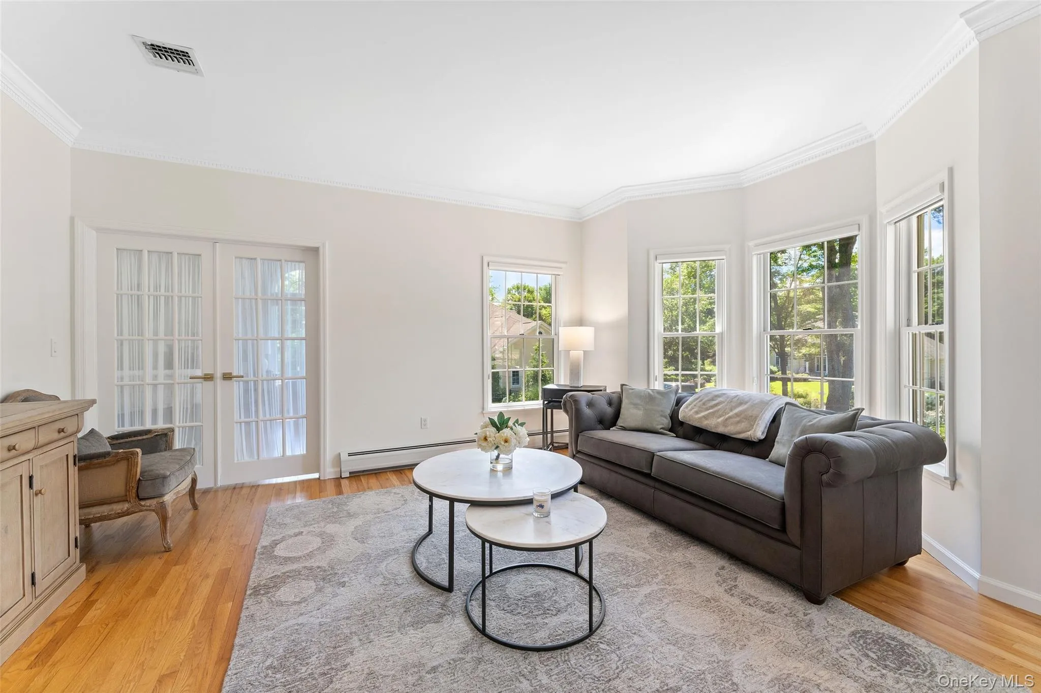 Living area featuring crown molding, light wood-type flooring, and a baseboard radiator Living area featuring crown molding, light wood-type flooring, and a baseboard radiator