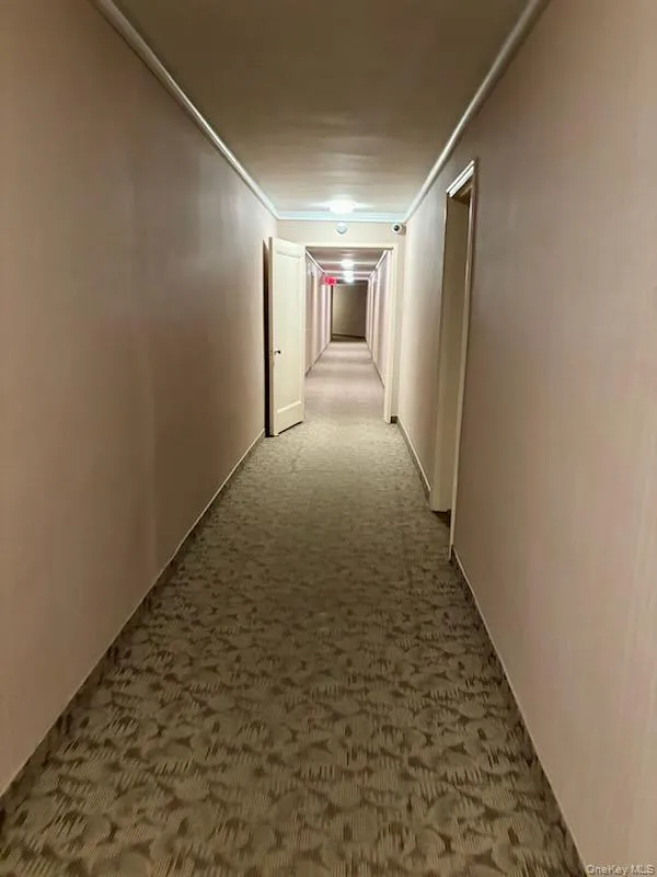 530 Dubois Avenue, Hempstead, NY, 2 Bedrooms Bedrooms, 5 Rooms Rooms,1 BathroomBathrooms,Residential,For Rent,Dubois,0,1012579 530 Dubois Avenue, Hempstead, NY, 2 Bedrooms Bedrooms, 5 Rooms Rooms,1 BathroomBathrooms,Residential,For Rent,Dubois,0,1012579