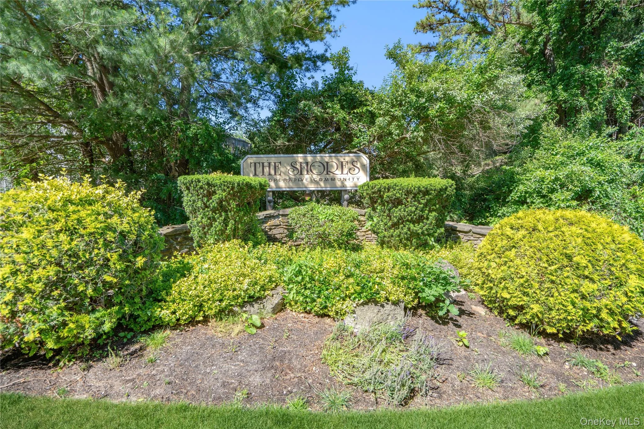 200 Lake Pointe Circle, Brookhaven, NY, 2 Bedrooms Bedrooms, 4 Rooms Rooms,1 BathroomBathrooms,Residential,For Rent,Lake Pointe Circle,0,1012611 200 Lake Pointe Circle, Brookhaven, NY, 2 Bedrooms Bedrooms, 4 Rooms Rooms,1 BathroomBathrooms,Residential,For Rent,Lake Pointe Circle,0,1012611