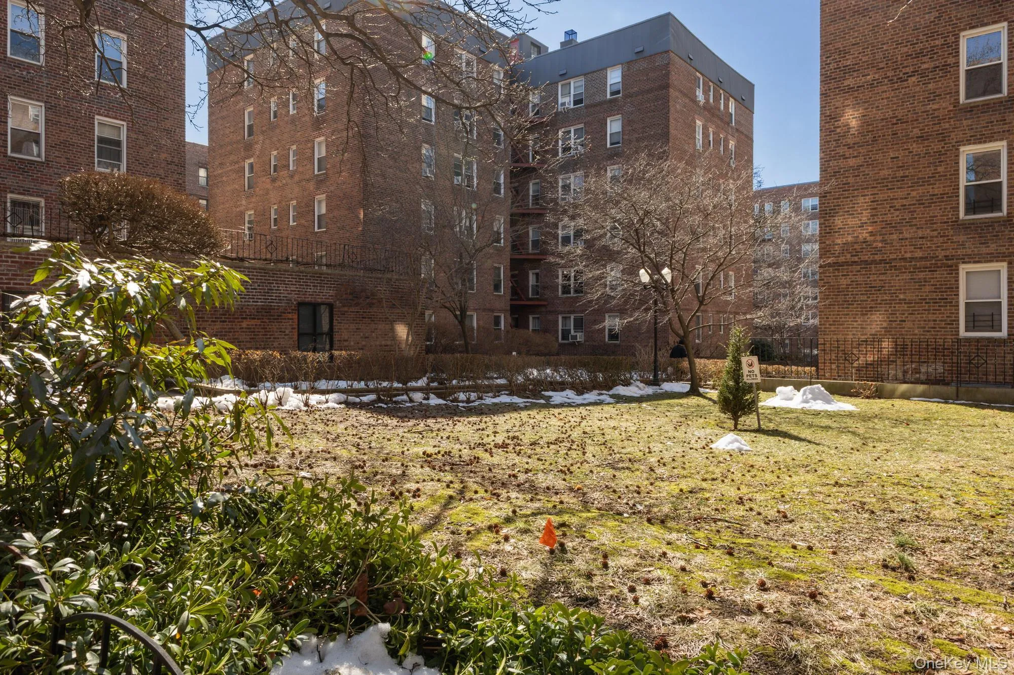 67-14 108th Street, New York, NY, 2 Rooms Rooms,1 BathroomBathrooms,Residential,For Rent,108th,0,1012636 67-14 108th Street, New York, NY, 2 Rooms Rooms,1 BathroomBathrooms,Residential,For Rent,108th,0,1012636