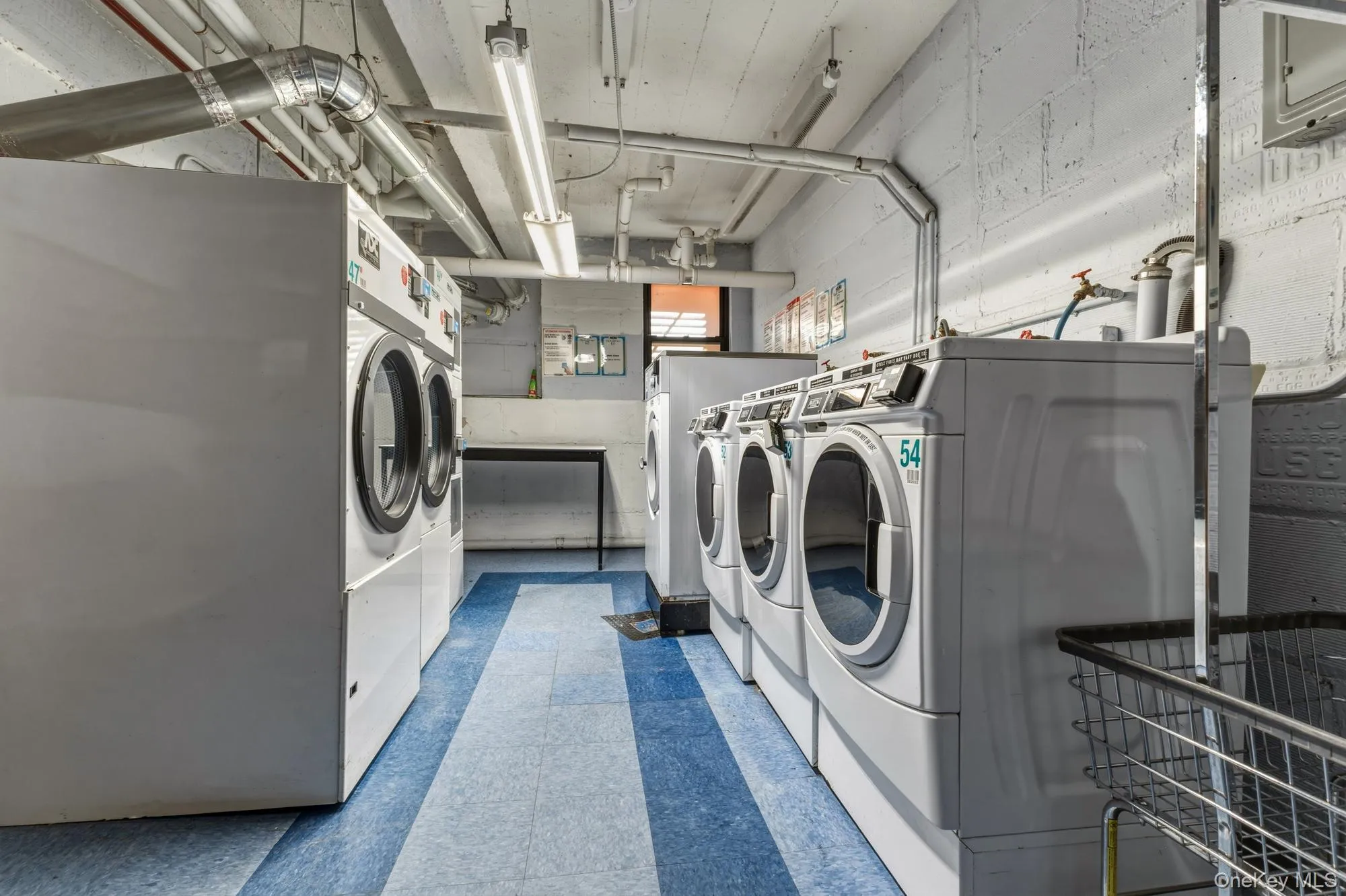 Dedicated laundry facility featuring multiple front-loading washing machines and dryers Dedicated laundry facility featuring multiple front-loading washing machines and dryers