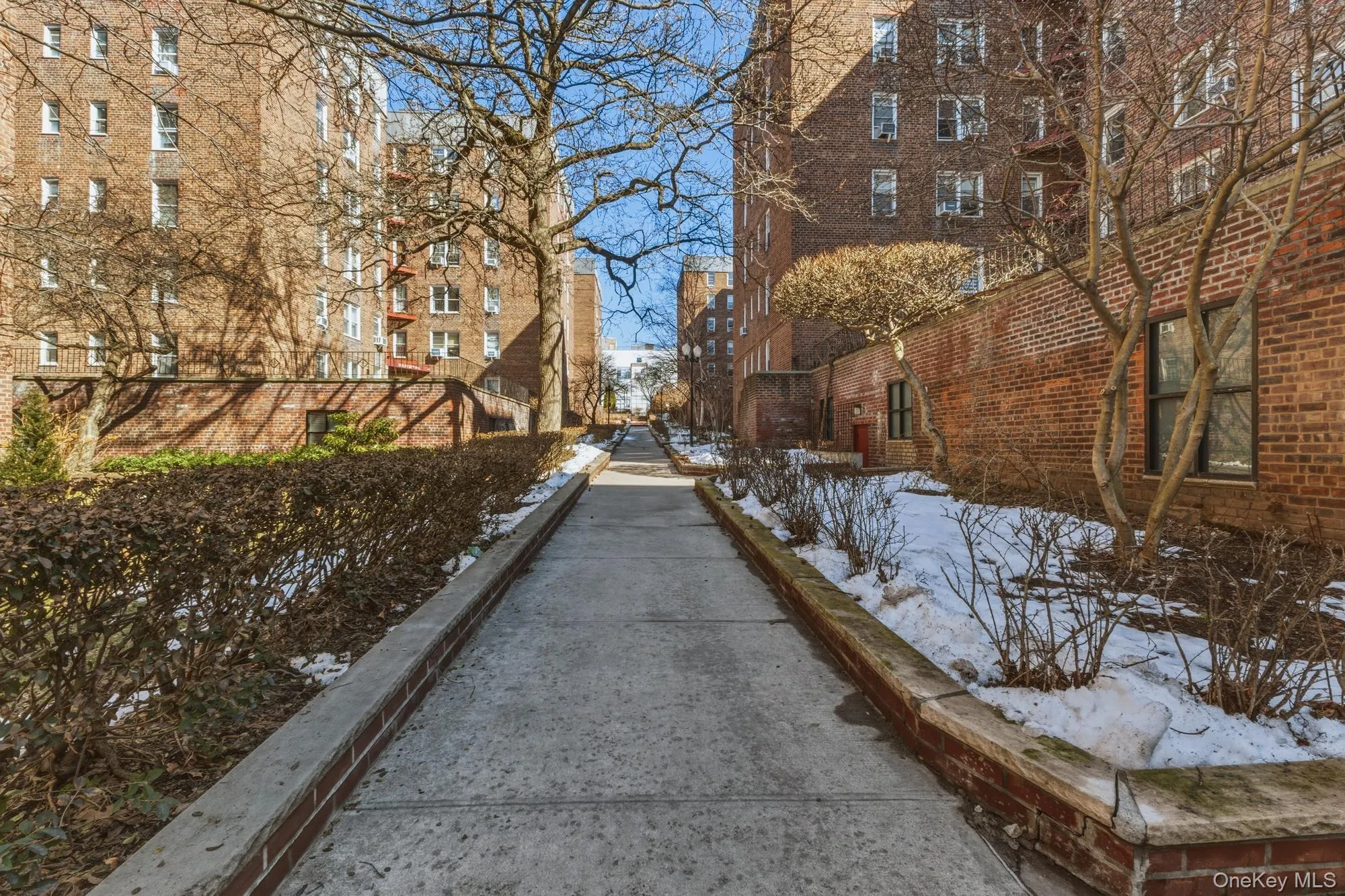 67-14 108th Street, New York, NY, 2 Rooms Rooms,1 BathroomBathrooms,Residential,For Rent,108th,0,1012636 67-14 108th Street, New York, NY, 2 Rooms Rooms,1 BathroomBathrooms,Residential,For Rent,108th,0,1012636