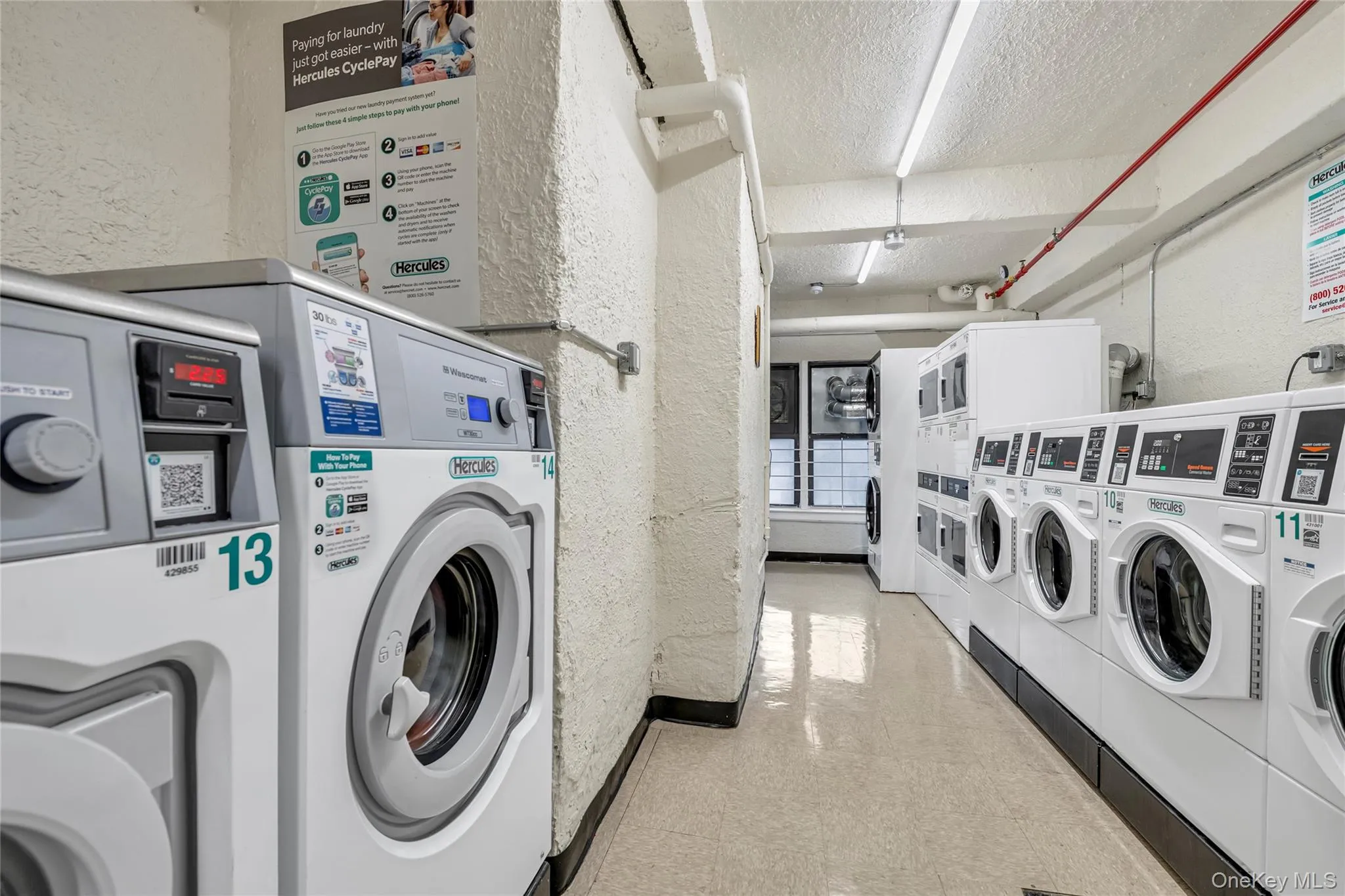 9963 66 Avenue, New York, NY, 1 Bedroom Bedrooms, 3 Rooms Rooms,1 BathroomBathrooms,Residential,For Rent,66,0,1012657 9963 66 Avenue, New York, NY, 1 Bedroom Bedrooms, 3 Rooms Rooms,1 BathroomBathrooms,Residential,For Rent,66,0,1012657