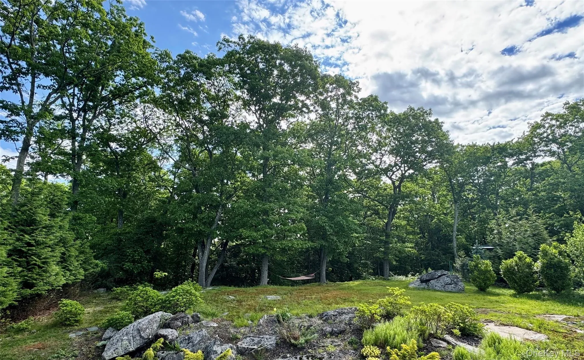 93 Carol Street, Out Of Area, CT, 3 Bedrooms Bedrooms, 10 Rooms Rooms,2 BathroomsBathrooms,Residential,For Rent,Carol,0,1012664 93 Carol Street, Out Of Area, CT, 3 Bedrooms Bedrooms, 10 Rooms Rooms,2 BathroomsBathrooms,Residential,For Rent,Carol,0,1012664