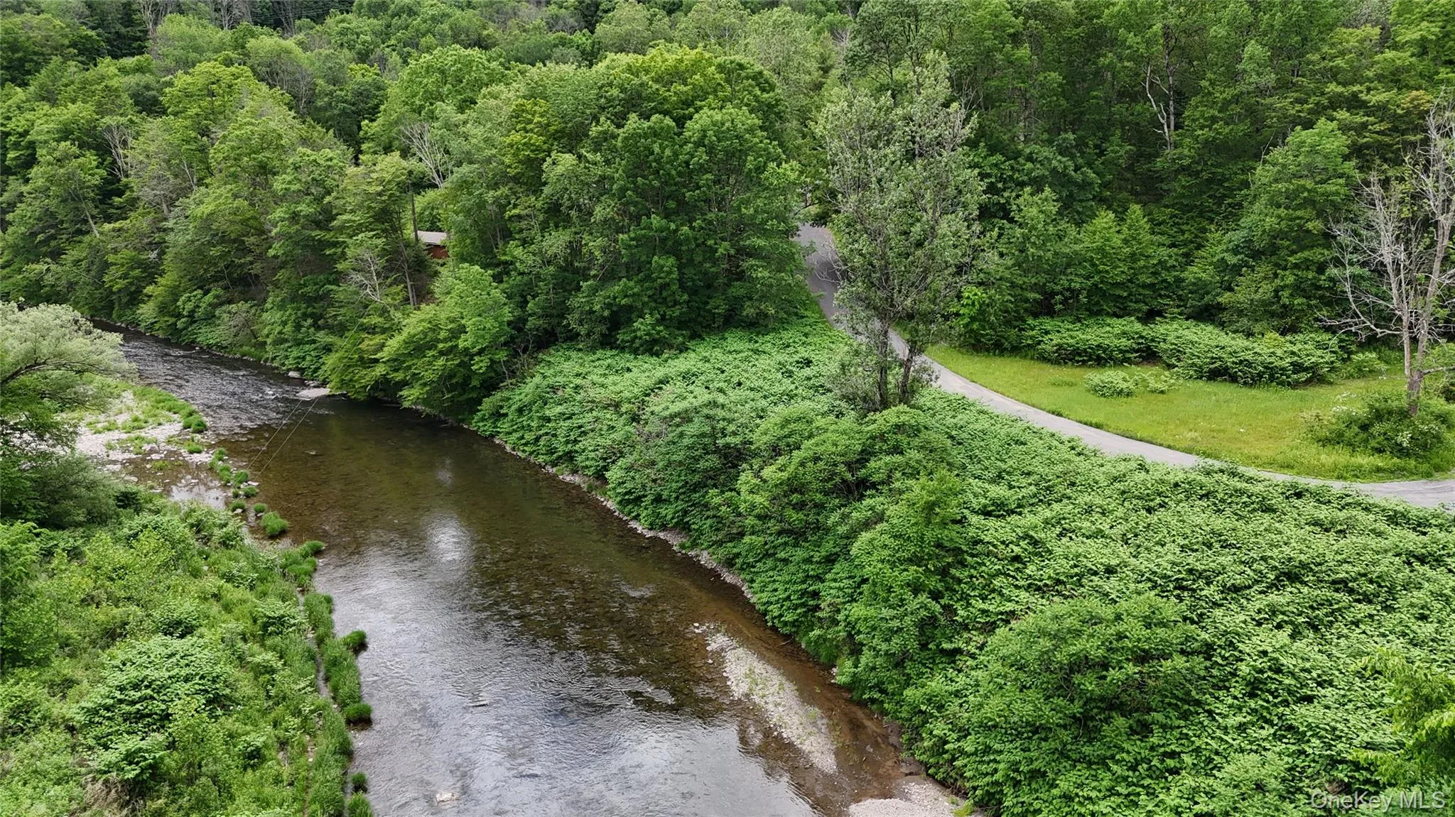 Beaver Kill River frontage Beaver Kill River frontage