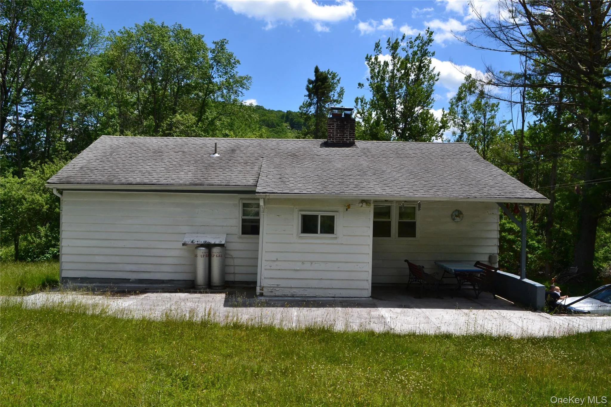 Rear of house with newer roof Rear of house with newer roof
