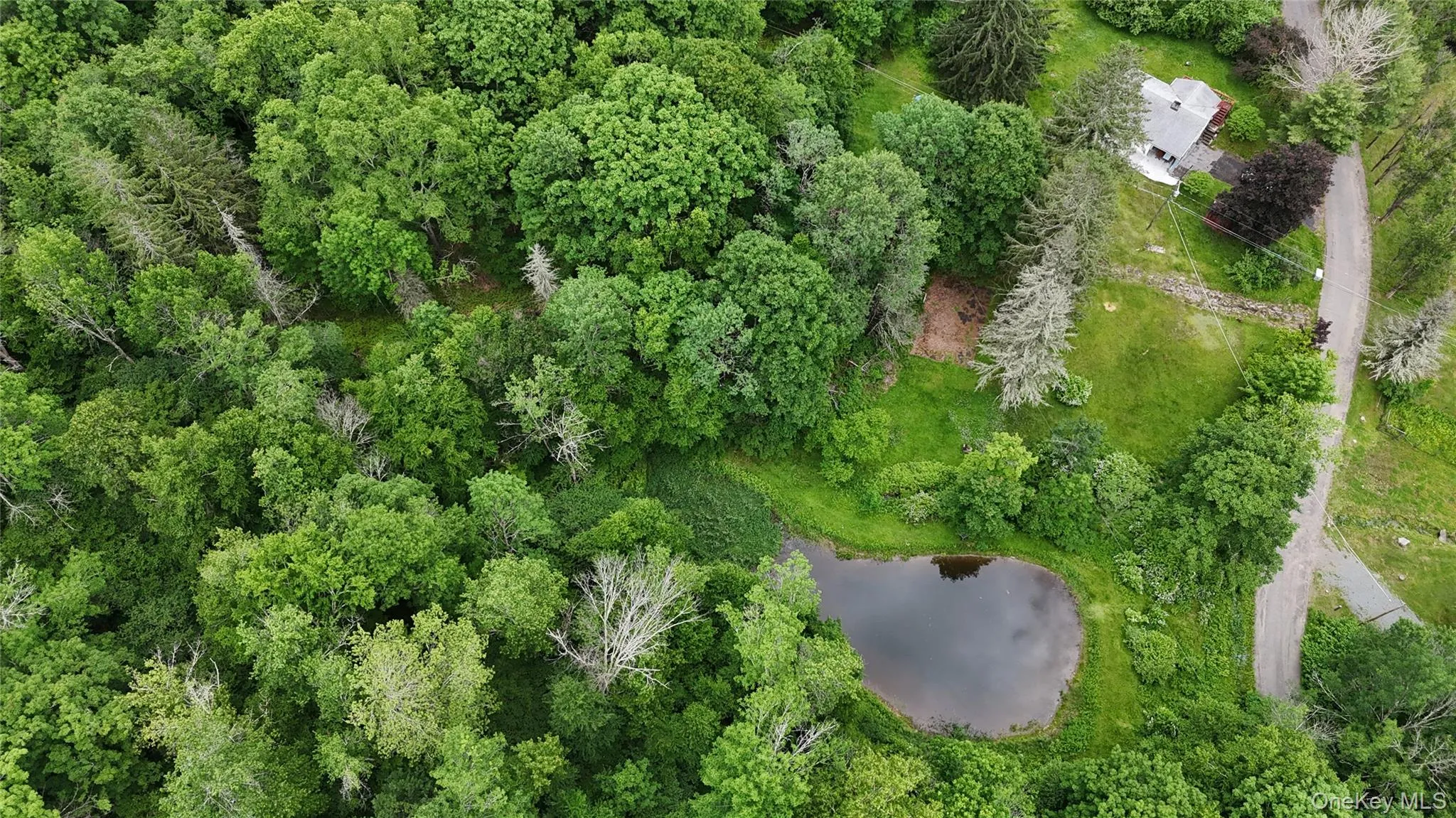Aerial of house and pond Aerial of house and pond