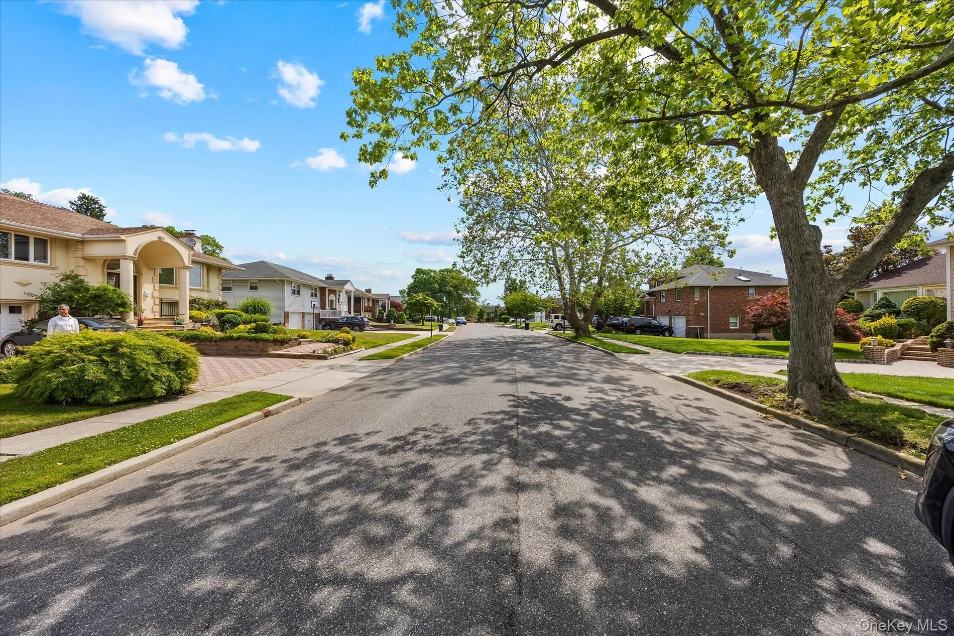 228 Robby Lane, North Hempstead, NY, 4 Bedrooms Bedrooms, 9 Rooms Rooms,3 BathroomsBathrooms,Residential,For Rent,Robby,0,1012692 228 Robby Lane, North Hempstead, NY, 4 Bedrooms Bedrooms, 9 Rooms Rooms,3 BathroomsBathrooms,Residential,For Rent,Robby,0,1012692