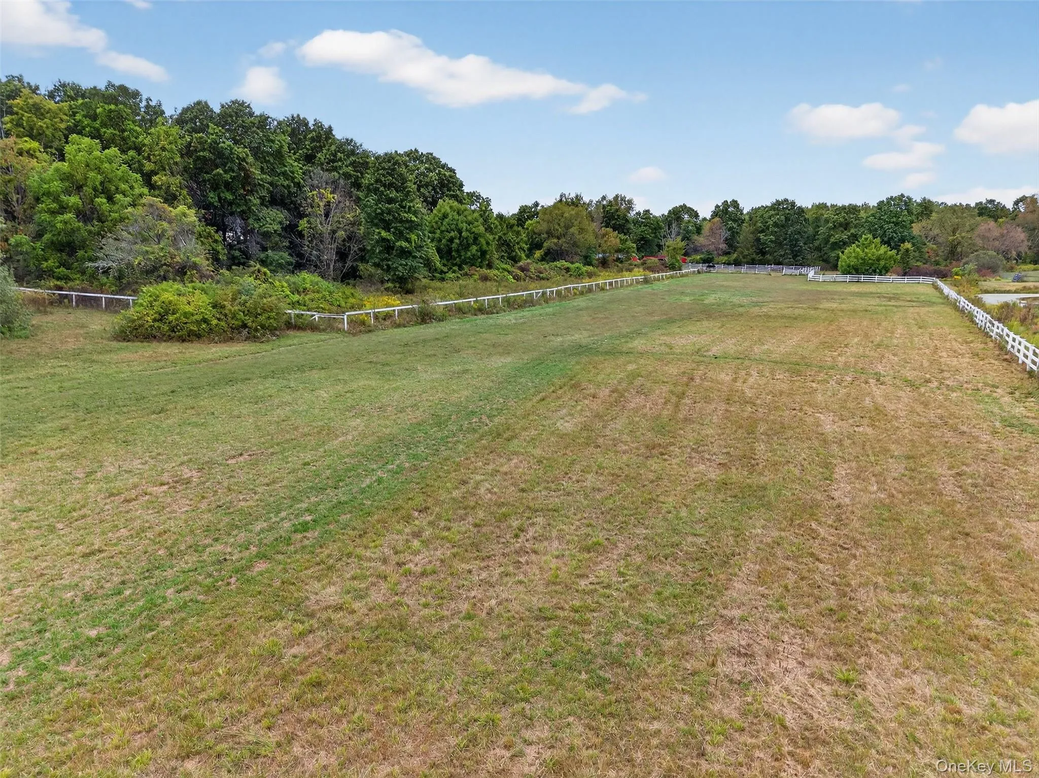 Tons of turnout for your horses, goats, sheep, or cows. Or just enjoy the space yourself! Tons of turnout for your horses, goats, sheep, or cows. Or just enjoy the space yourself!