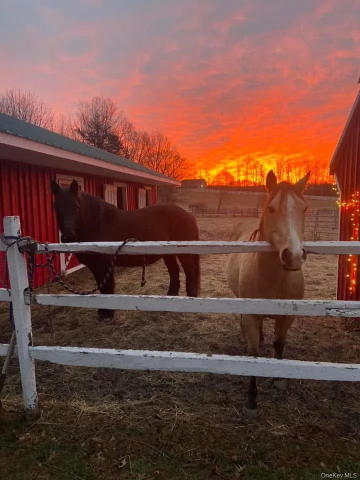 Stunning sunrises Stunning sunrises