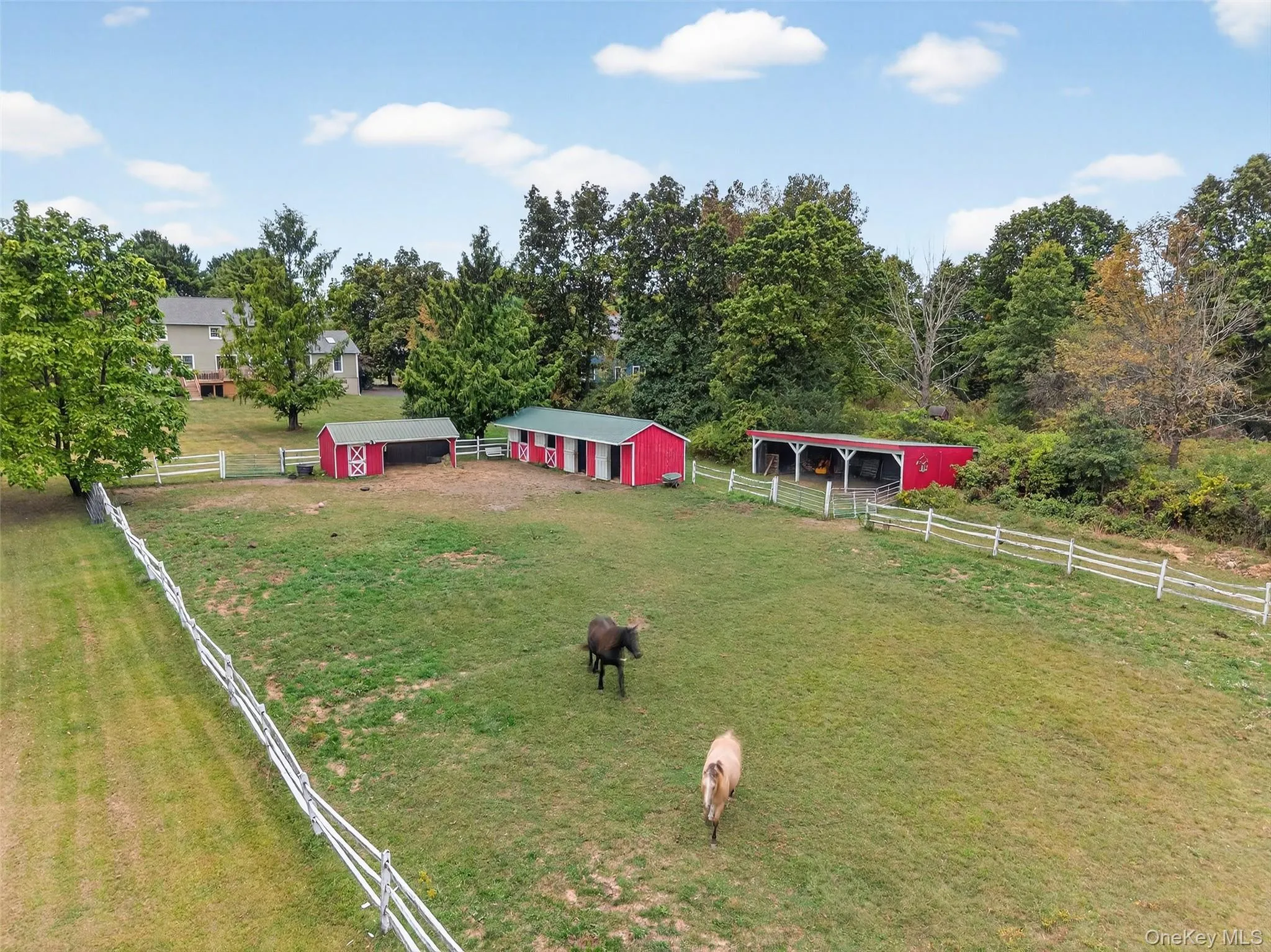 Paddock with 4 shed row stalls and a run in shed with tack room. There is electric and water. Paddock with 4 shed row stalls and a run in shed with tack room. There is electric and water.