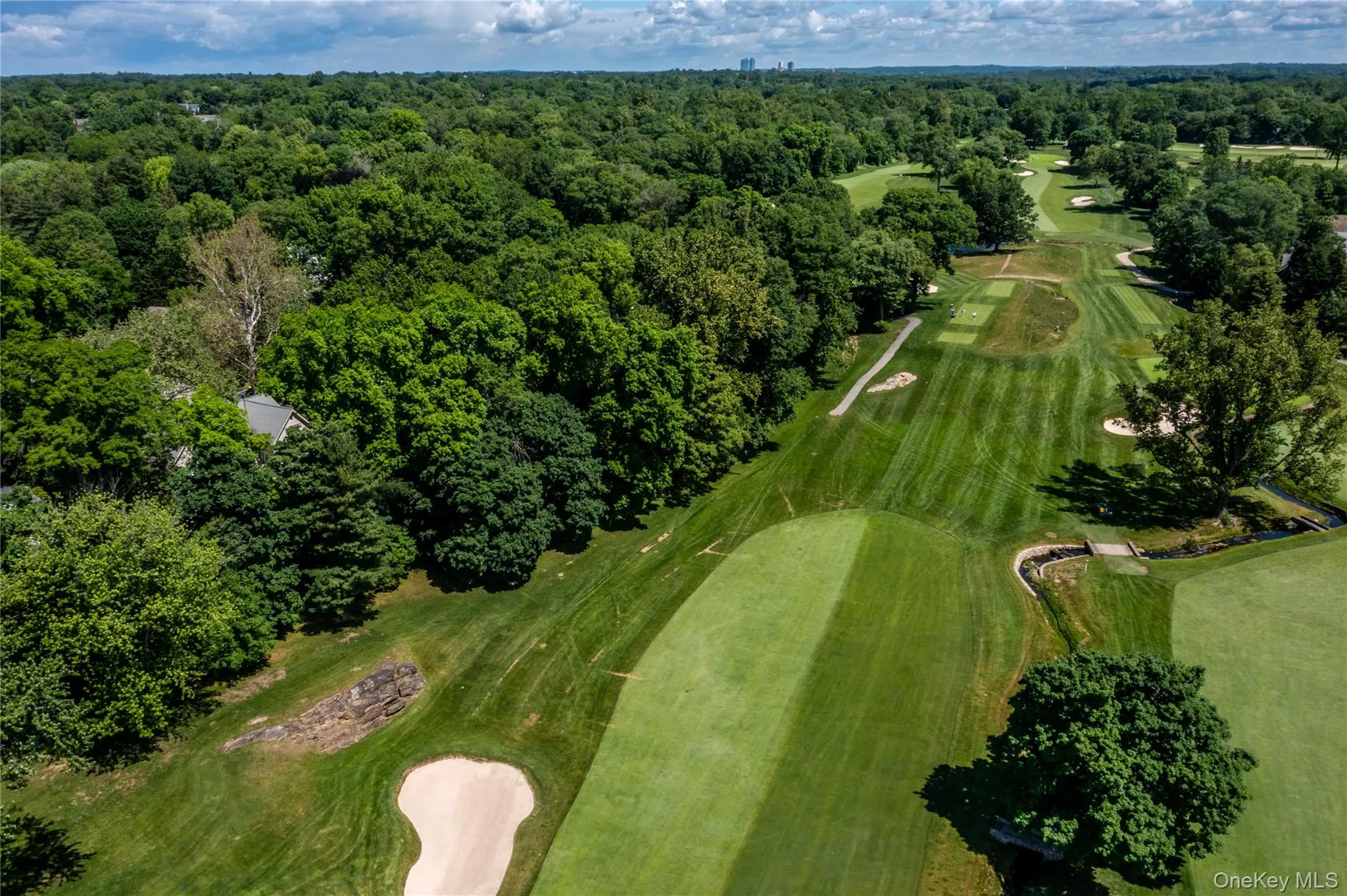 16 Meadow Road, Scarsdale, NY, 6 Bedrooms Bedrooms, 11 Rooms Rooms,6 BathroomsBathrooms,Residential,For Rent,Meadow,0,1012728 16 Meadow Road, Scarsdale, NY, 6 Bedrooms Bedrooms, 11 Rooms Rooms,6 BathroomsBathrooms,Residential,For Rent,Meadow,0,1012728