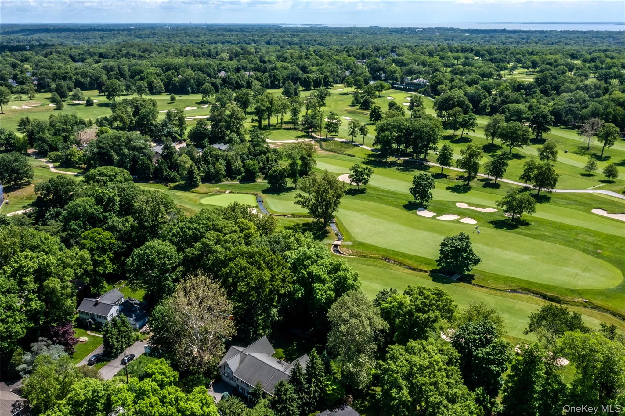 16 Meadow Road, Scarsdale, NY, 6 Bedrooms Bedrooms, 11 Rooms Rooms,6 BathroomsBathrooms,Residential,For Rent,Meadow,0,1012728 16 Meadow Road, Scarsdale, NY, 6 Bedrooms Bedrooms, 11 Rooms Rooms,6 BathroomsBathrooms,Residential,For Rent,Meadow,0,1012728