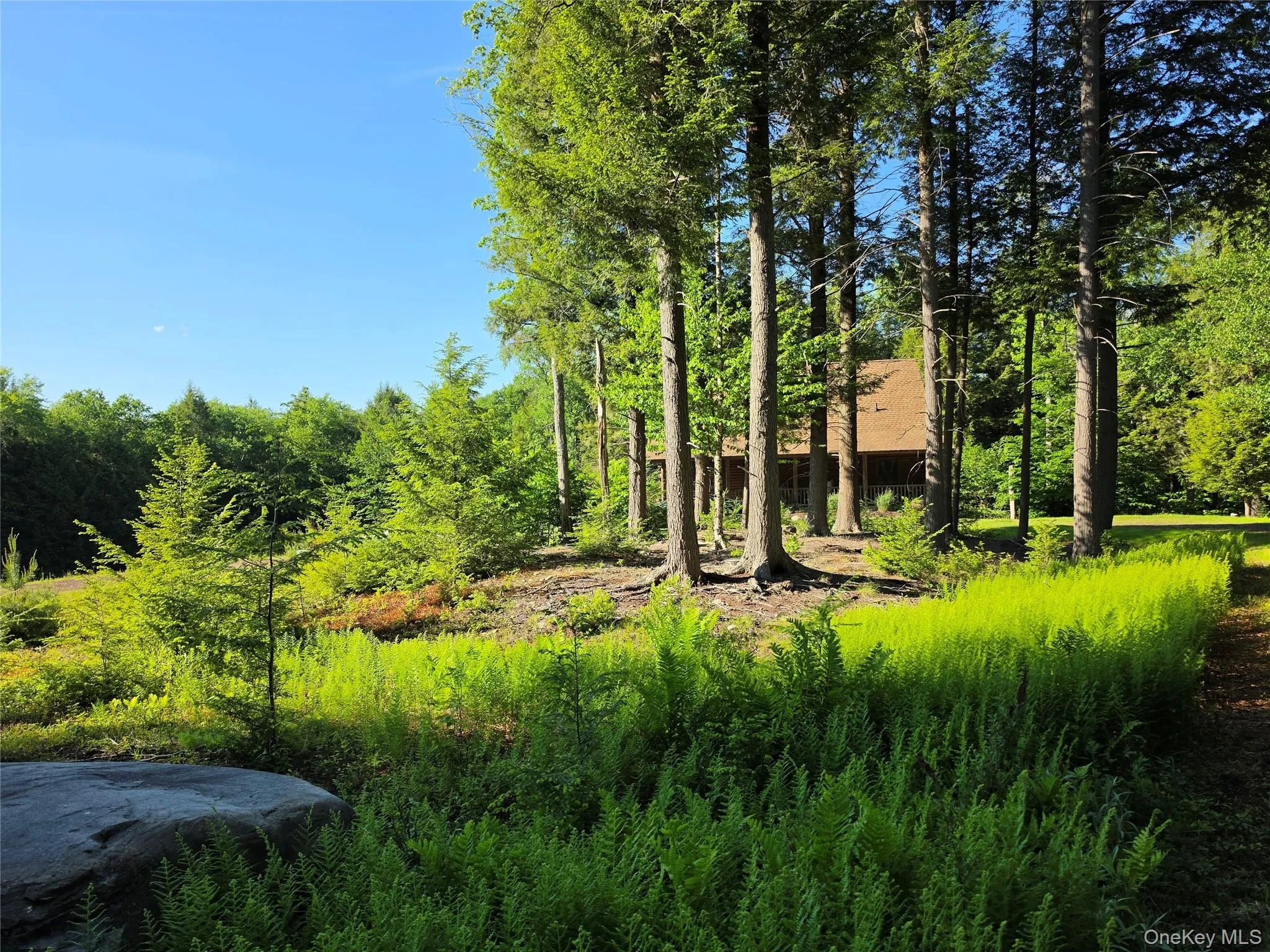 108 Eagles Ridge Way, Liberty, NY, 3 Bedrooms Bedrooms, 7 Rooms Rooms,2 BathroomsBathrooms,Residential,For Rent,Eagles Ridge,0,1012739 108 Eagles Ridge Way, Liberty, NY, 3 Bedrooms Bedrooms, 7 Rooms Rooms,2 BathroomsBathrooms,Residential,For Rent,Eagles Ridge,0,1012739
