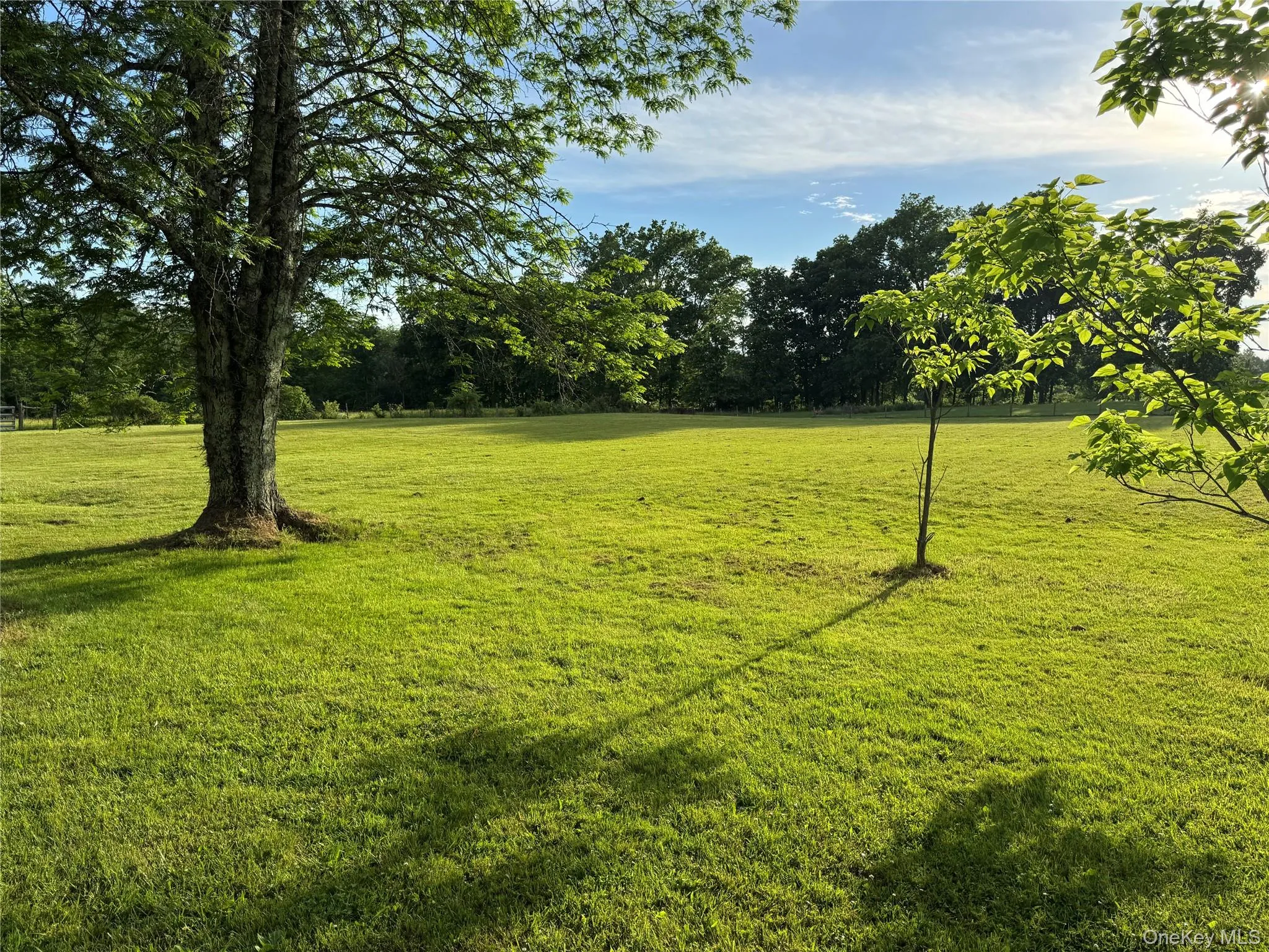 1556 Albany Post Road, Gardiner, NY, 3 Bedrooms Bedrooms, 6 Rooms Rooms,2 BathroomsBathrooms,Residential,For Rent,Albany Post,0,1012741 1556 Albany Post Road, Gardiner, NY, 3 Bedrooms Bedrooms, 6 Rooms Rooms,2 BathroomsBathrooms,Residential,For Rent,Albany Post,0,1012741