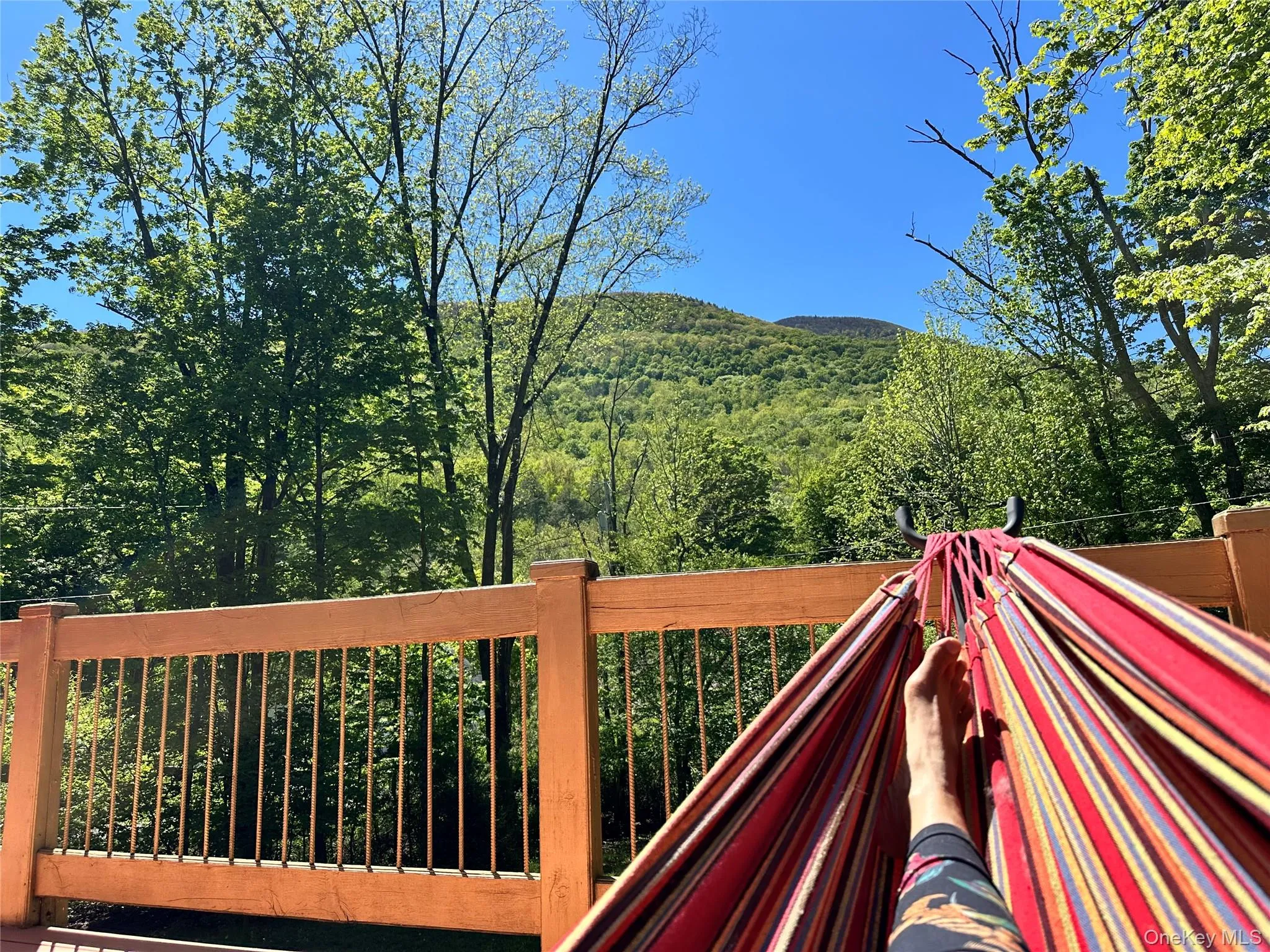 10 Kolb Road, Olive, NY, 3 Bedrooms Bedrooms, 7 Rooms Rooms,2 BathroomsBathrooms,Residential,For Rent,Kolb,0,1012758 10 Kolb Road, Olive, NY, 3 Bedrooms Bedrooms, 7 Rooms Rooms,2 BathroomsBathrooms,Residential,For Rent,Kolb,0,1012758
